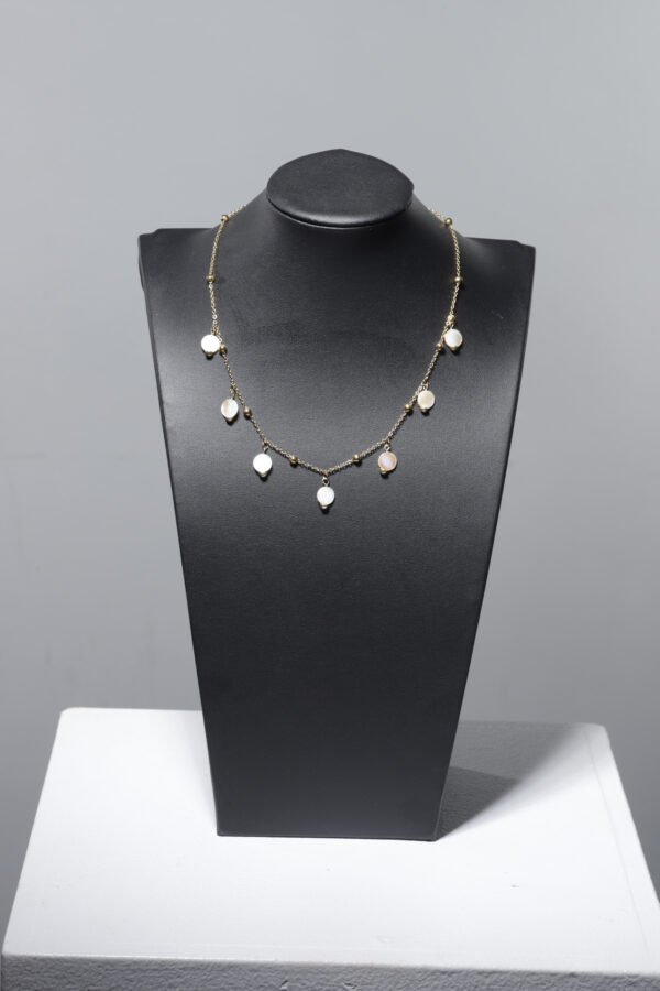 DAINTY  COINS